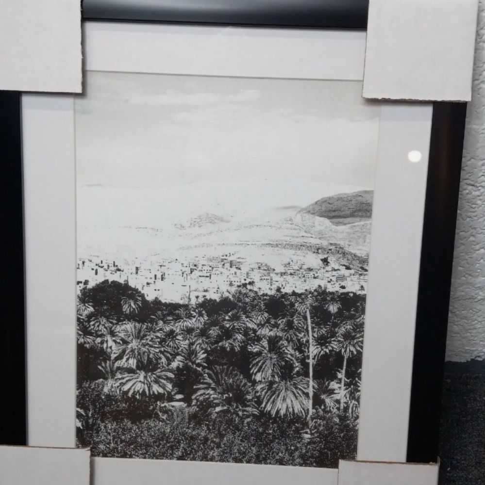 Nordstrom Dandelion Black White Framed Wall Art picture.